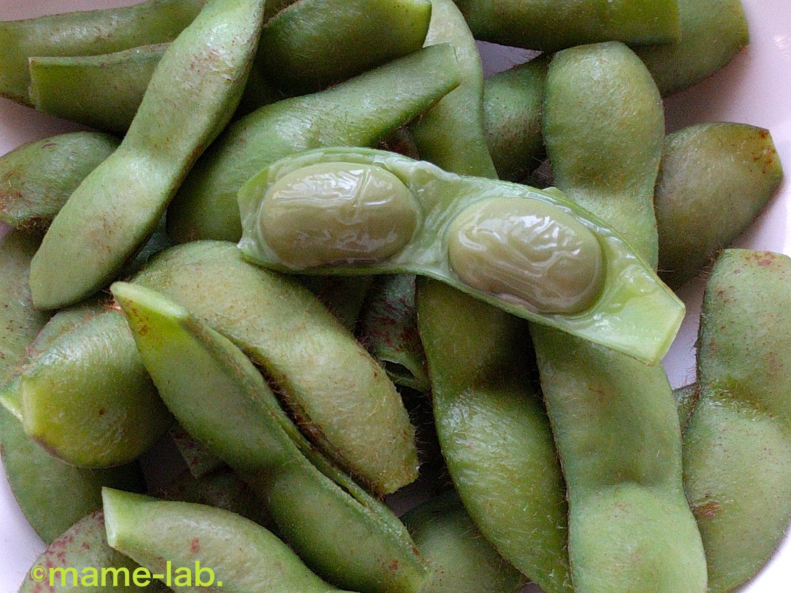 10月は 豆の月 豆なブログ